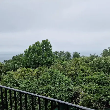 Tximistarri * 圣塞瓦斯蒂安